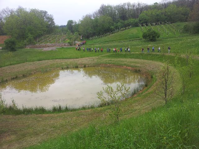 jezero