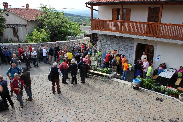 dvorisce