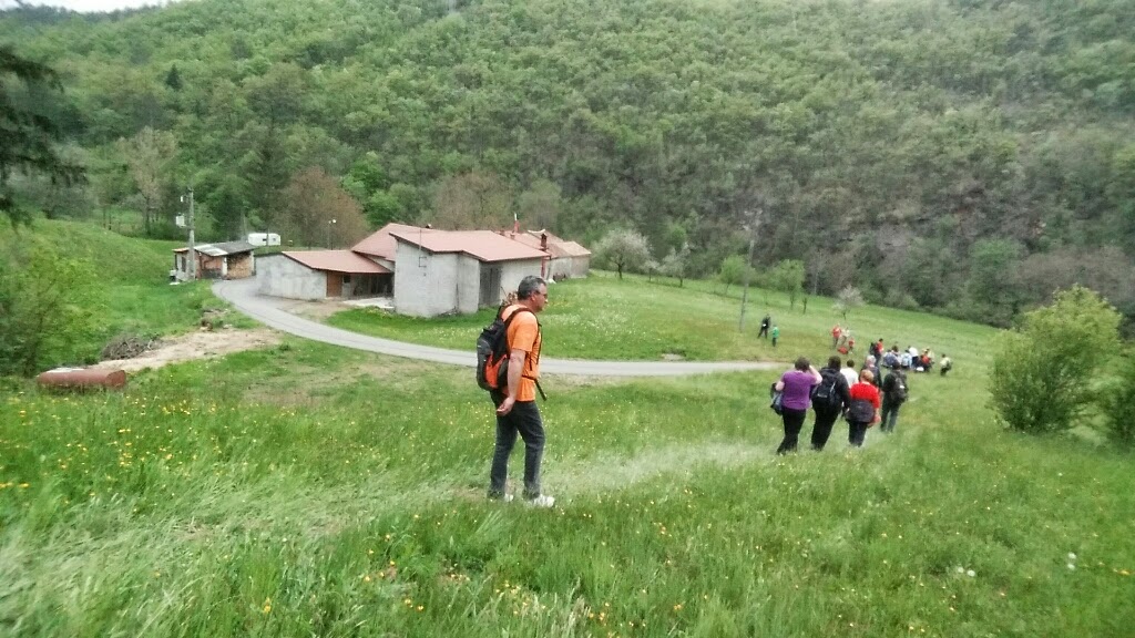 grofovi